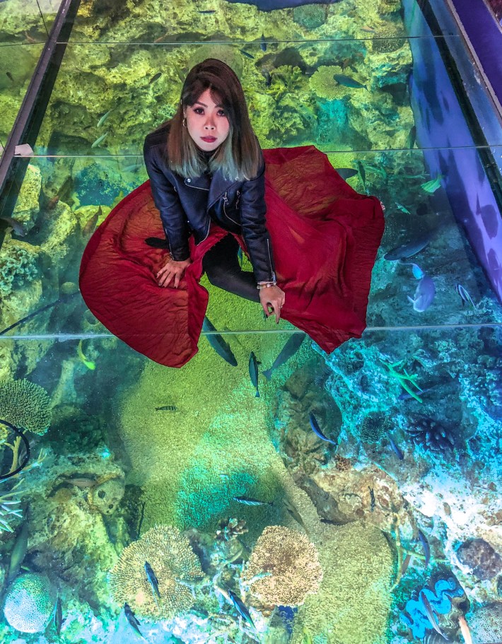 Photo 15-11-18, 7 58 38 am02